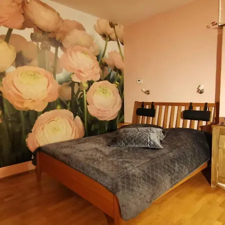 Amazing In Heart Of Old Town Apartamento Tallin